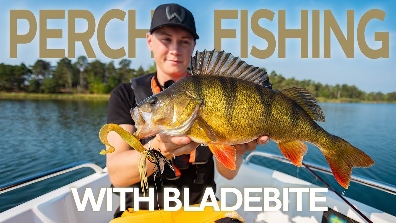Perch Fishing with Bladebite | Westin Fishing