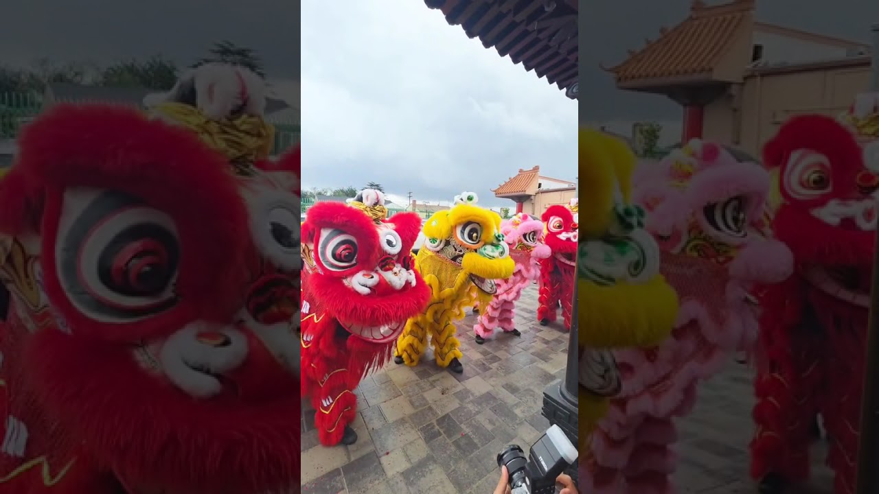 佛學明月居士林,農历新年🧧🎉正月初一🐎馬年，請舞獅团隊來拜年🙏，(Feb 17.2026)