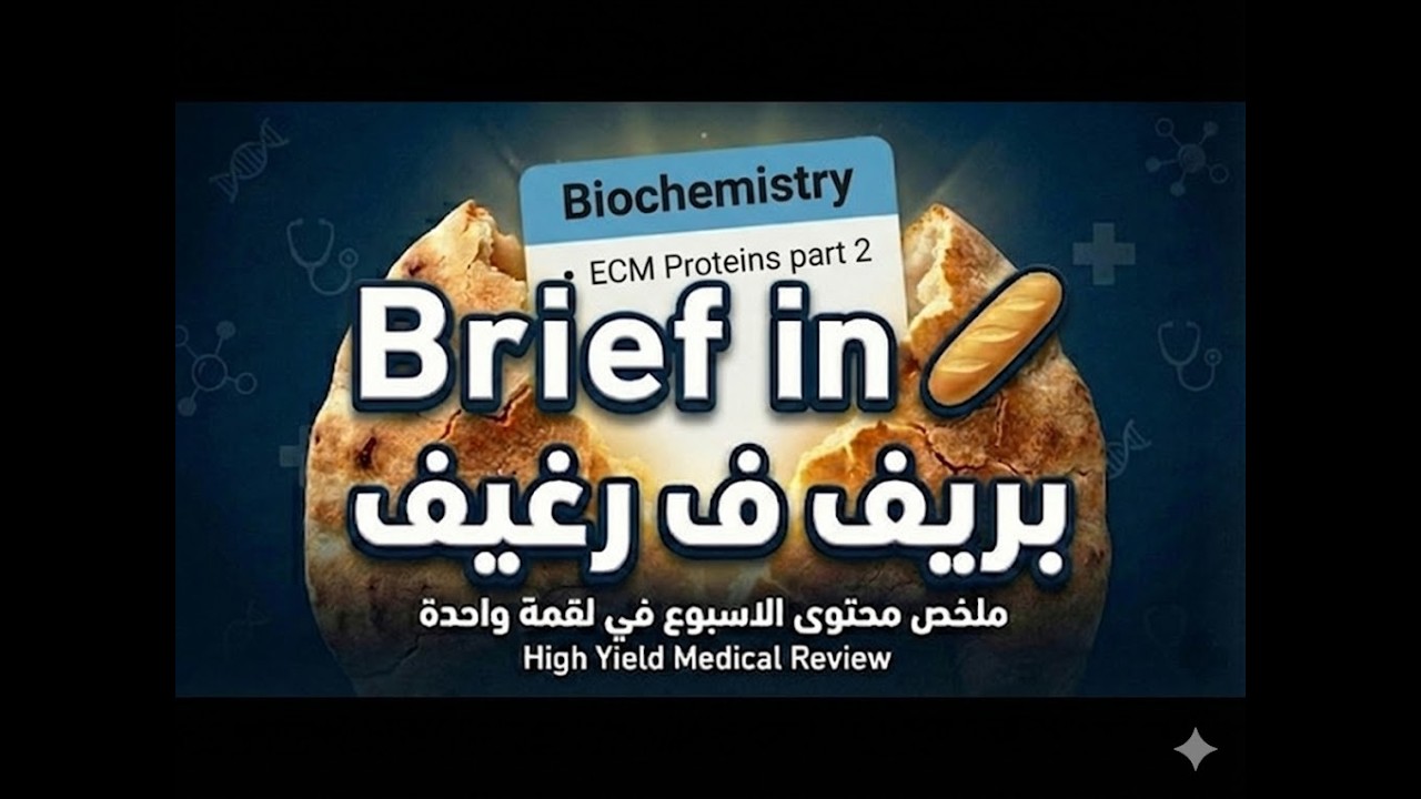 MSK module | second week part 2  Bio  | brief X 🥖| بريف ف رغيف