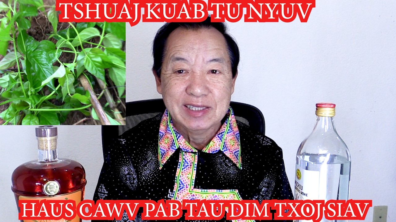 Hmong tv network Nthuav tawm txog kev noj tshuaj kuab tu nyuv 2/12/26