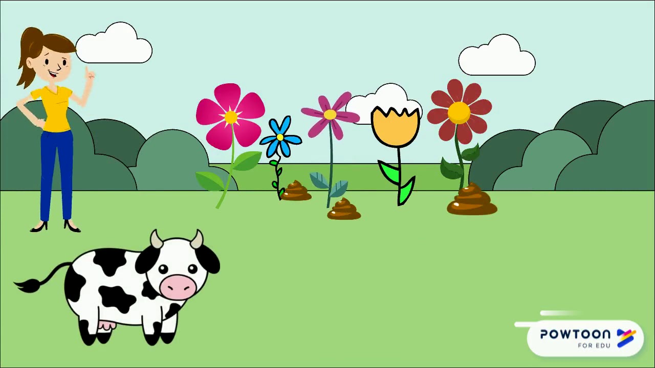 Cow Manure