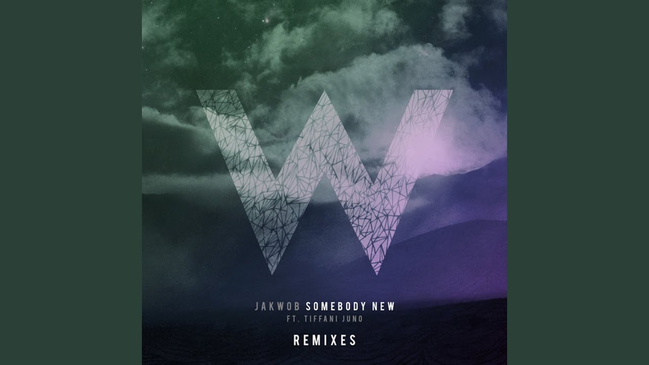Somebody New (Seamus Haji Remix)