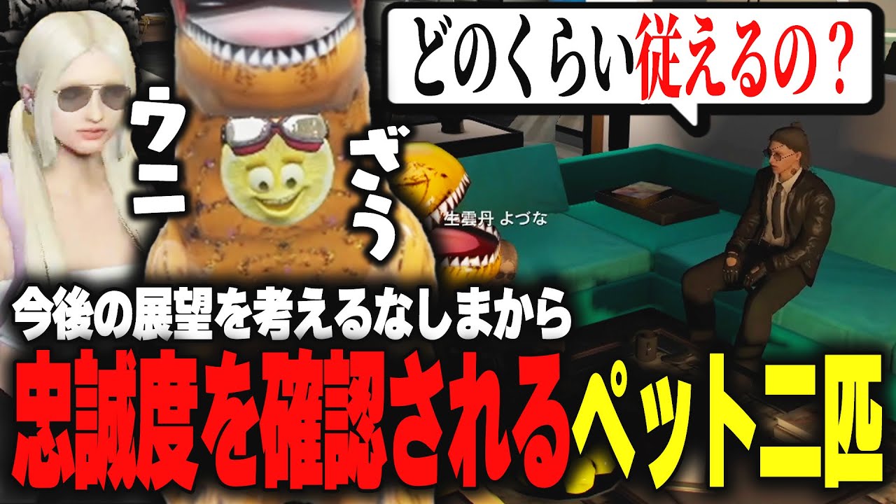 【ストグラ】なしまからの忠誠度を確認されるもすぐ答えを出すペット二匹【柳瀬つん/つんザウルス】