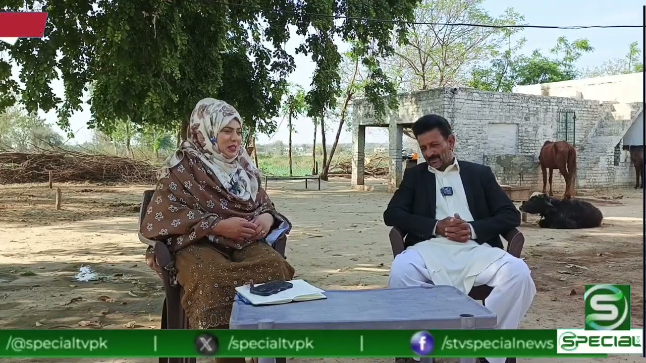 چوہدری زاہد اشرف بنگیال معروف سماجی و ثقافتی شخصیت ان کے خاندان کا خوبصورت شوق خوبصورت گھوڑے 🐴