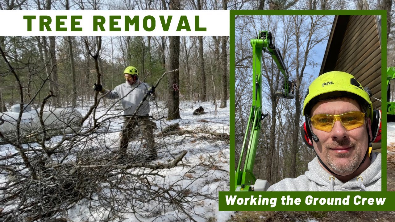 Tree Removal - Working the Ground Crew