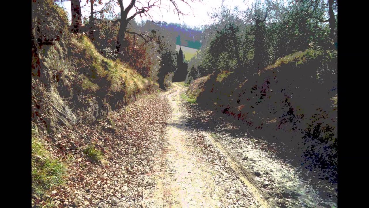 Via Francigena da Lucca a Siena