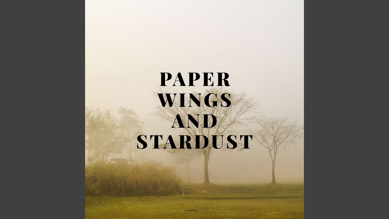Paper Wings and Stardust