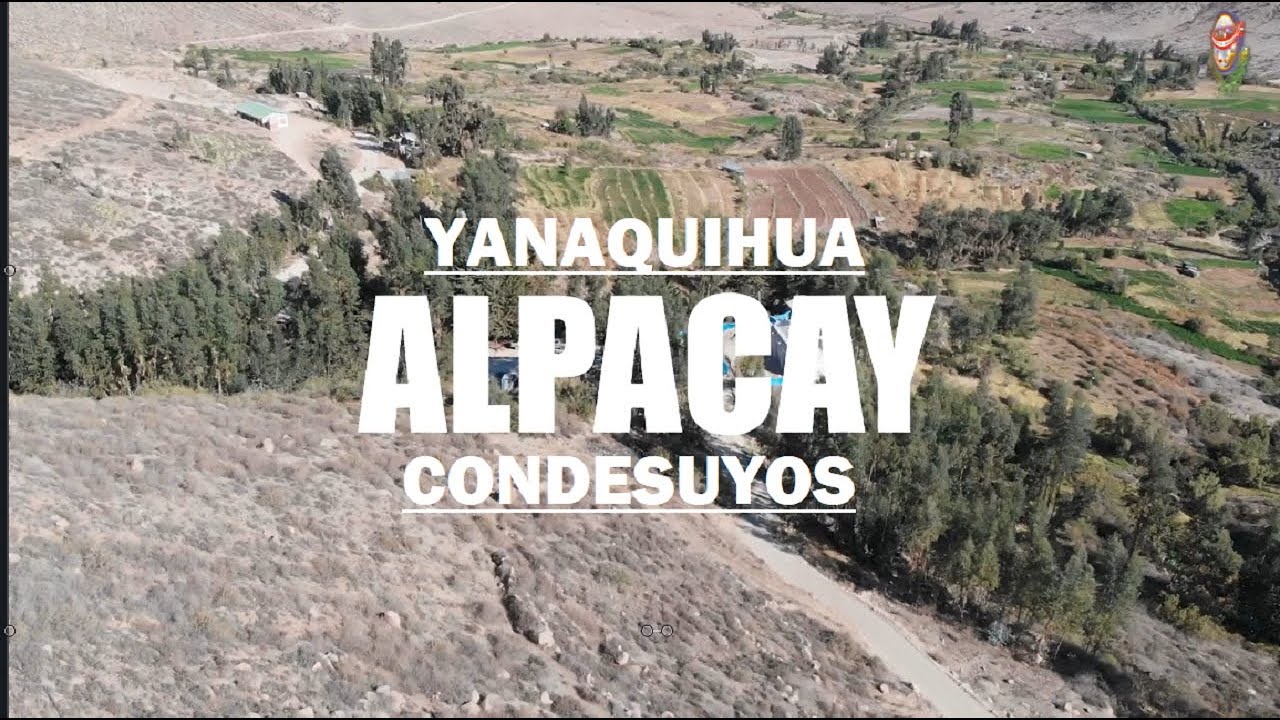 Comunidad de ALPACAY Yanaquihua Condesuyos.