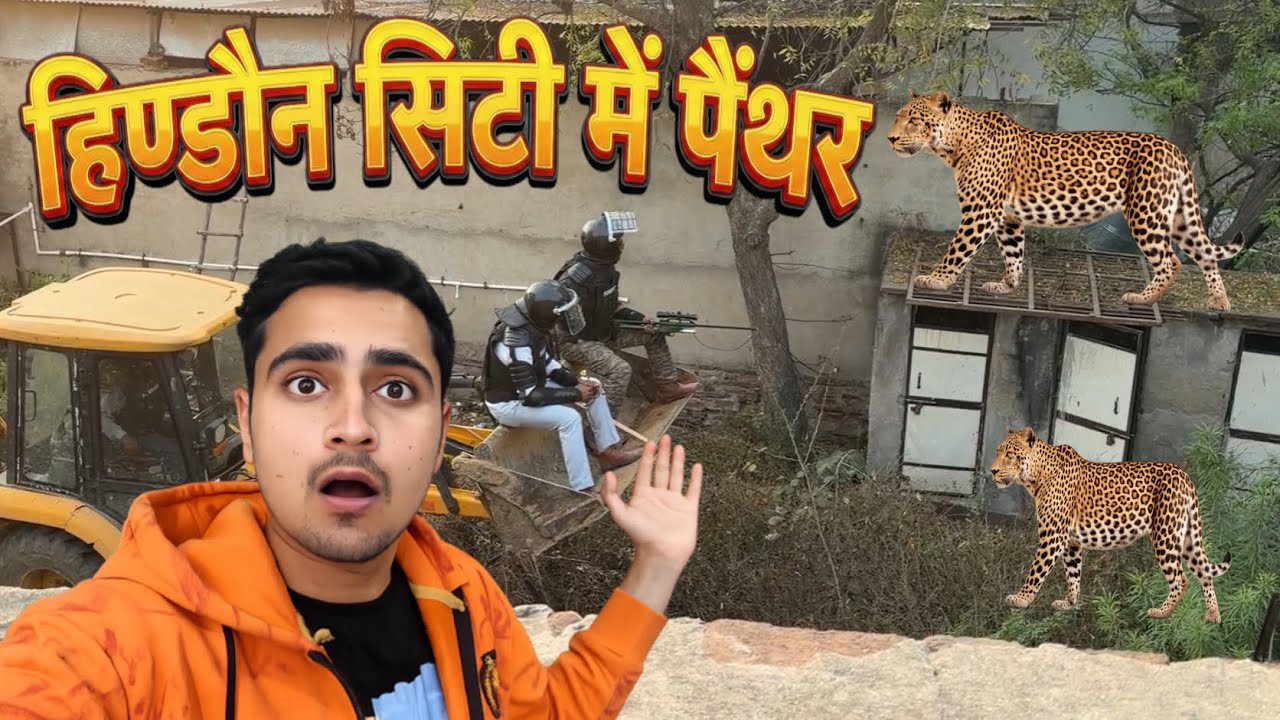 Fear of panther in Hindaun City 🐆 | Hindaun City news | Hindaun Wale | MG Gang