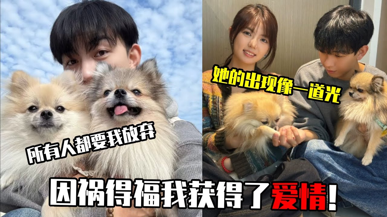 不抛弃小狗的决定，让我遇见了爱情！原来温柔和善意真的会双向奔赴 #博美 #宠物狗