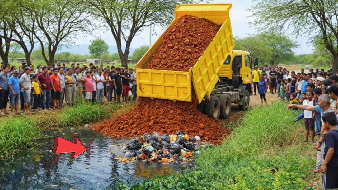 + First Start Perfect New Project !! Complete100% Delete Small Pond By Mini Dozer D31 & Dump Truck 8