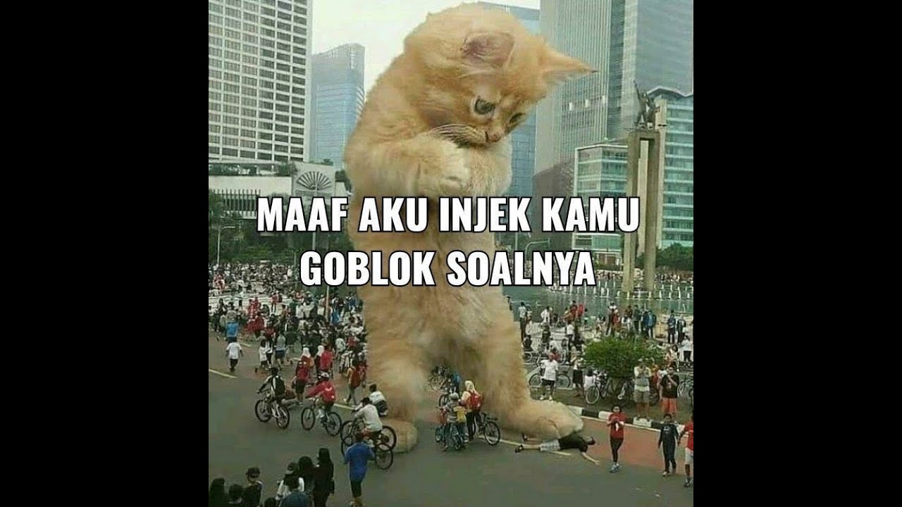 Mbuh nyapo iki penak e #valorantindonesia