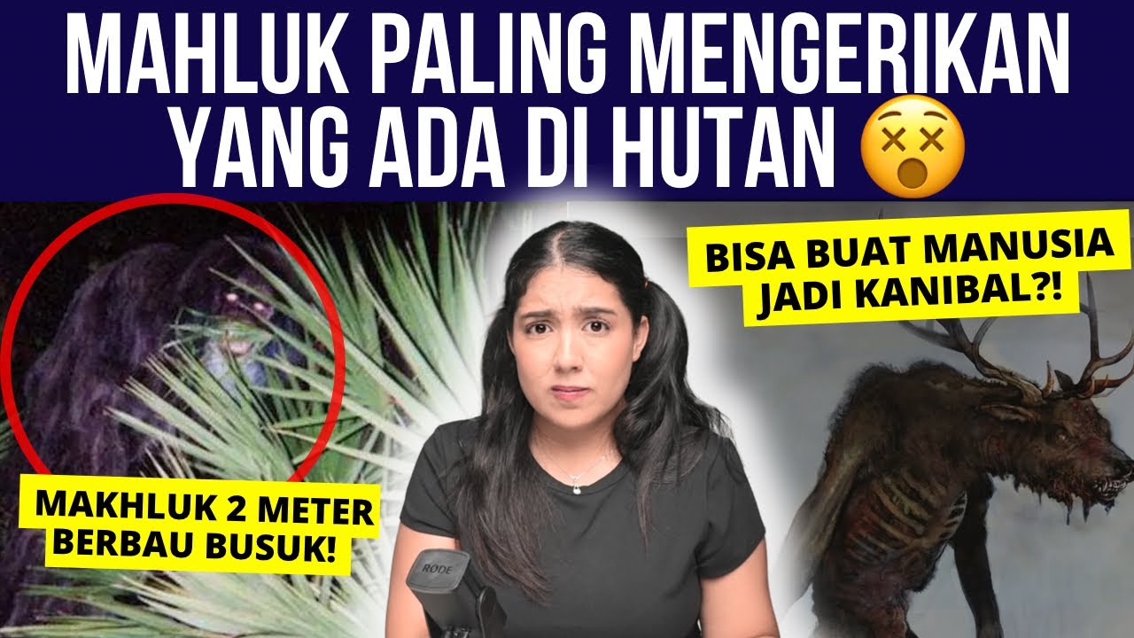 MAKHLUK MISTERIUS di HUTAN: SKUNK APE & WENDIGO 😰