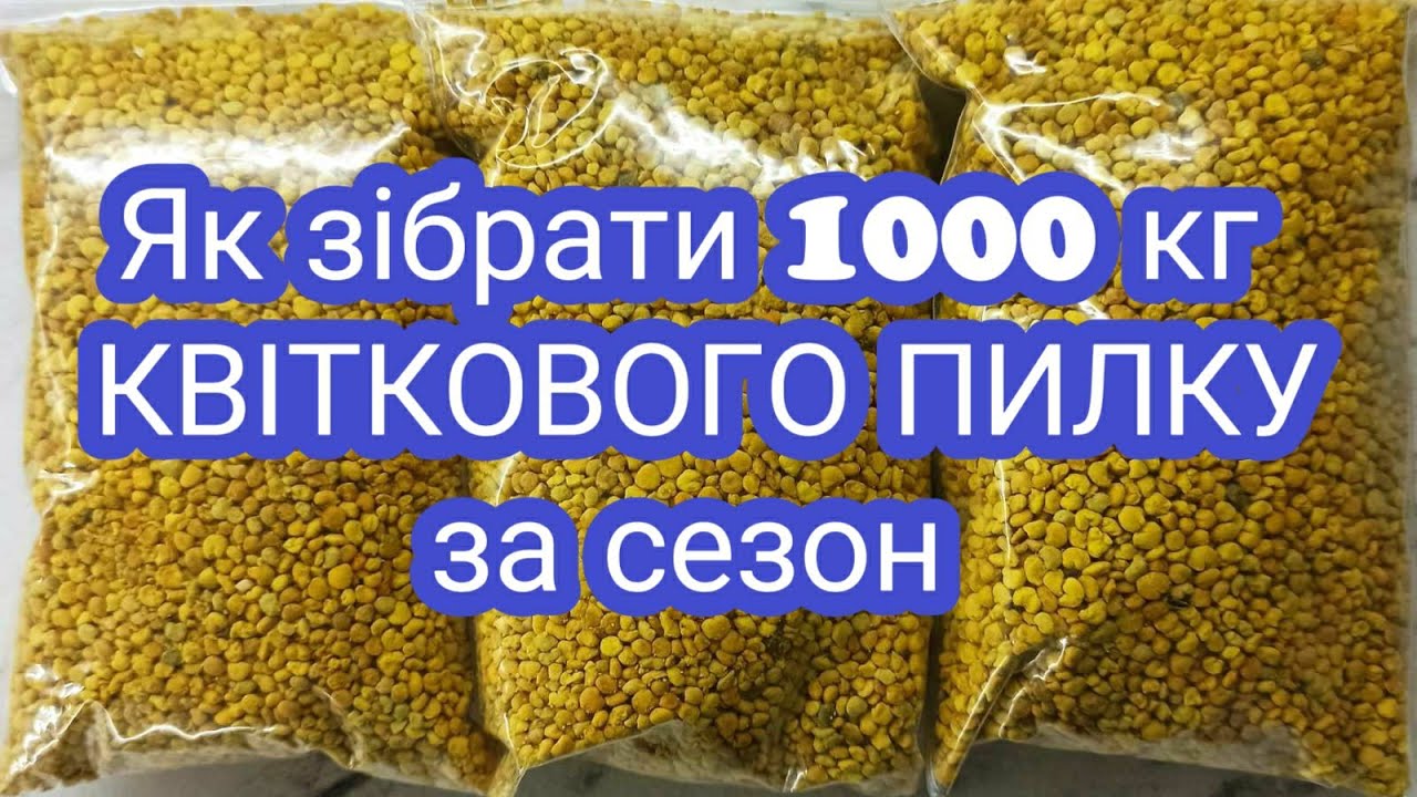 КВІТКОВИЙ ПИЛОК- чи все так просто і легко?