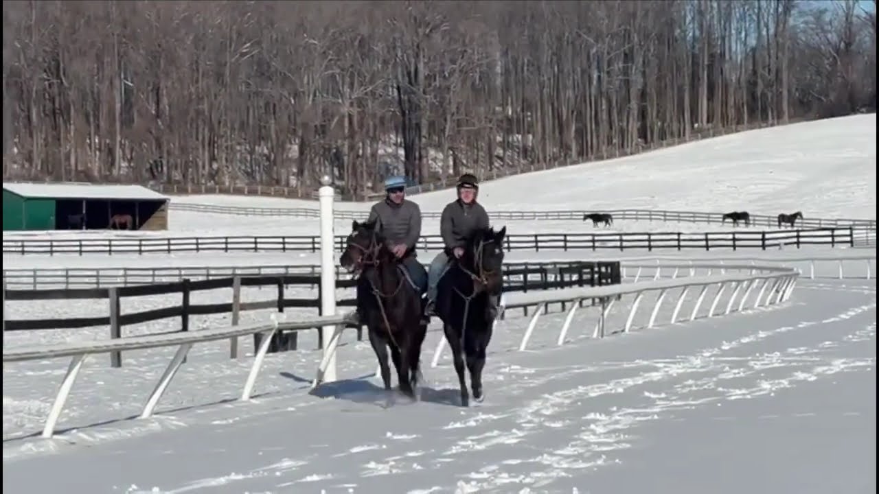 Snow day training at Merryland!