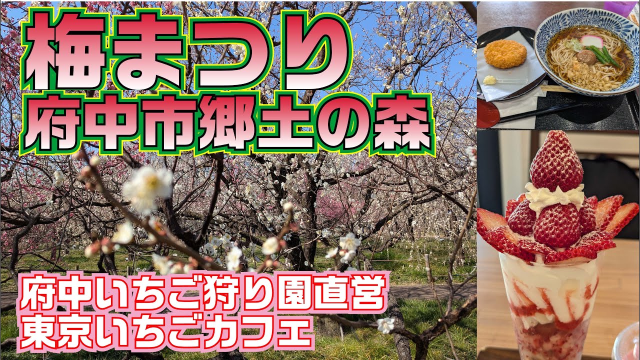 府中市郷土の森で開催の「梅まつり」に行って来ました。