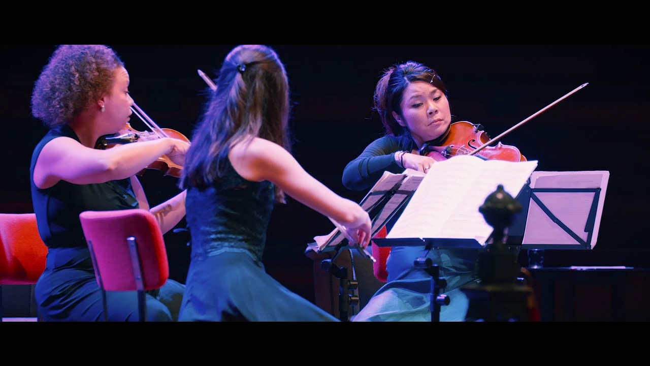 GoYa quartet - Ravel string quartet in F Major (1st mvt)