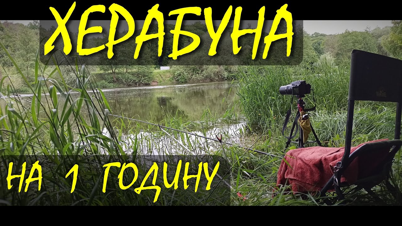 З вудкою на сильній течії. Азійський спосіб по українським рибам. #fishing #fish #herabuna #херабуна