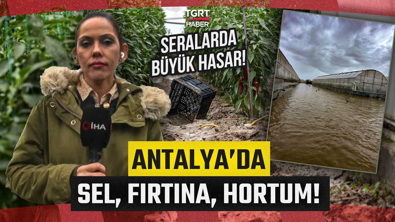 Antalya'yı Sağanak Yağış ve Fırtına Vurdu! Hortum Çıktı Seralar Büyük Hasar Gördü - TGRT Haber