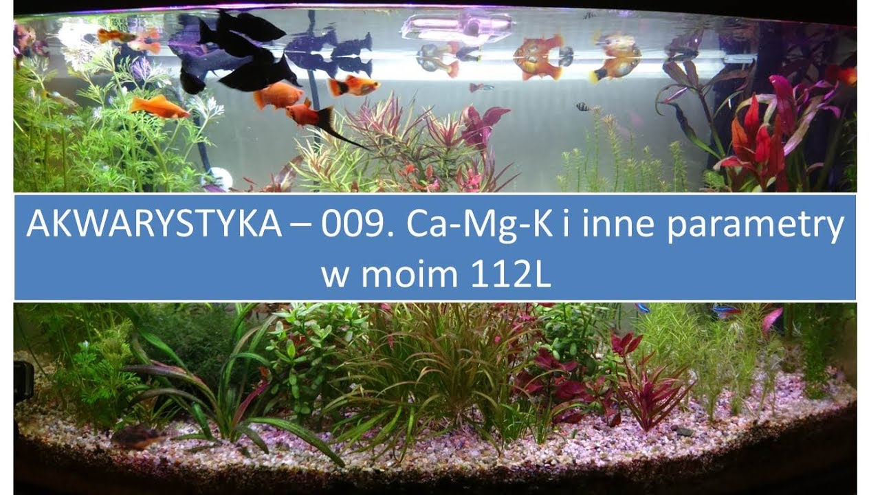 Akwarystyka -  009.  Ca-Mg-K i inne parametry