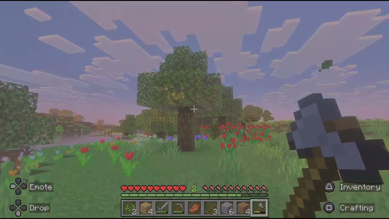 Minecraft_20260129210308