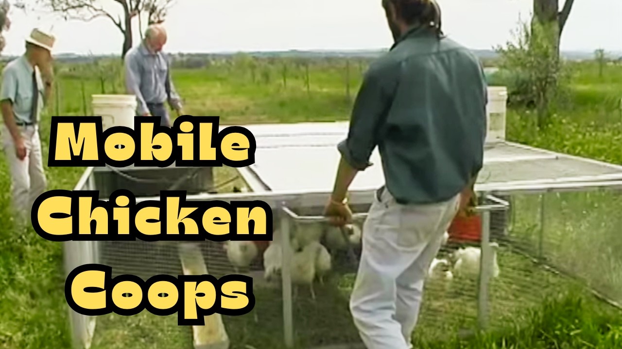 How to Start a Pastured Poultry Farm: Mobile Chicken Coops Explained
