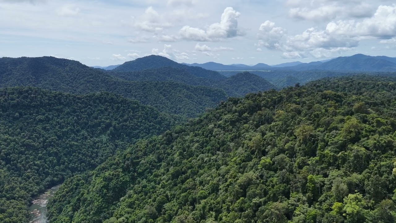 A demonstration to how vast the Wooroonooran national park is. Walking into the infinite spaces.