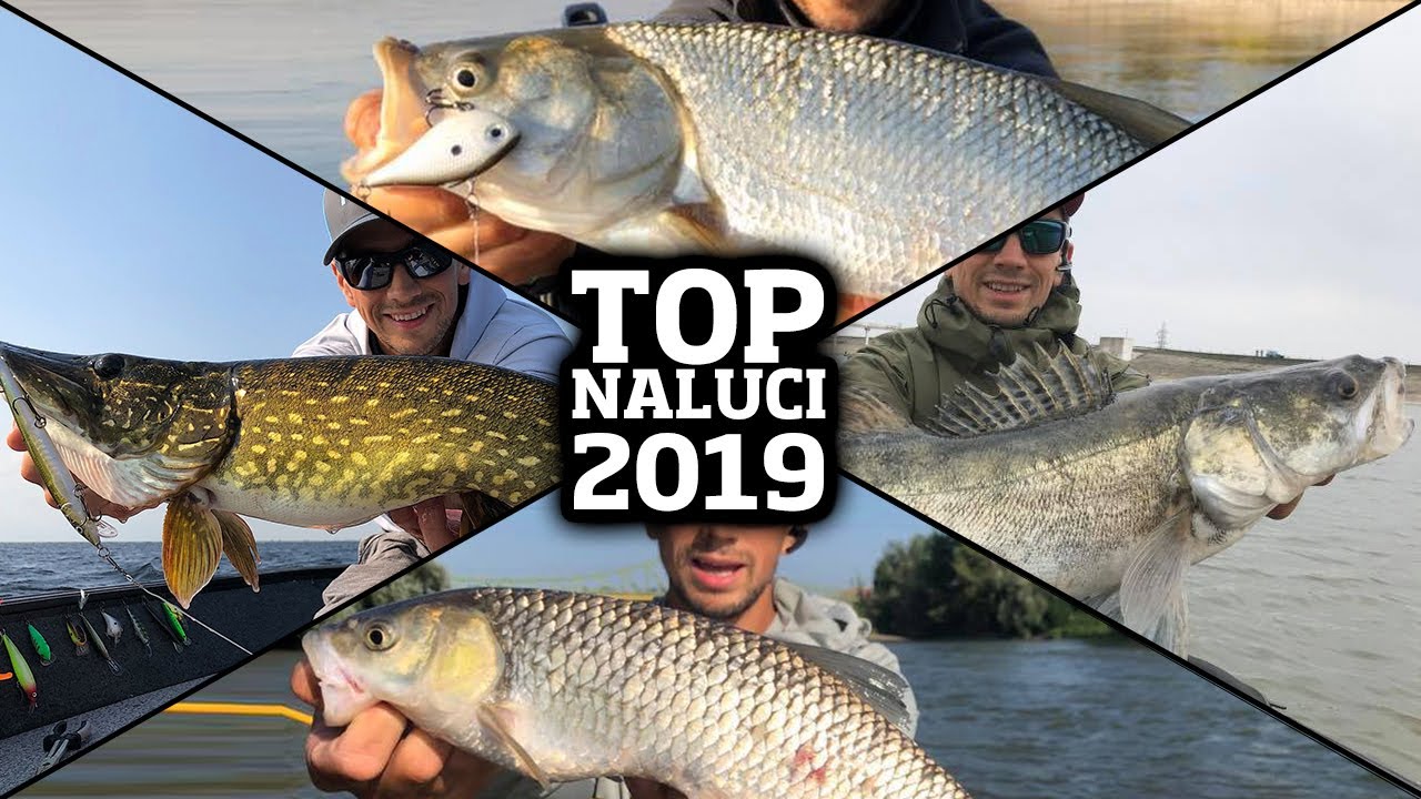 Top naluci/specii cu care am pescuit in 2019 la clean, avat, salau si la stiuca.