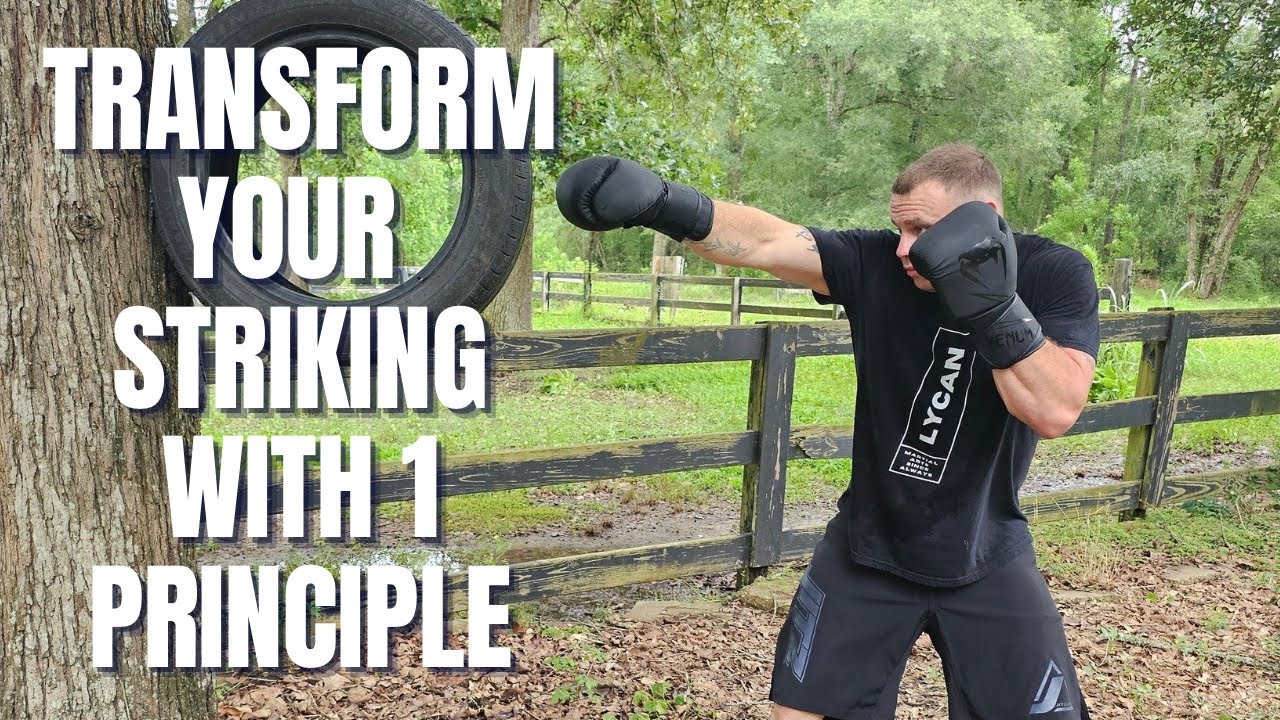 I became a better fighter using ONLY this principle