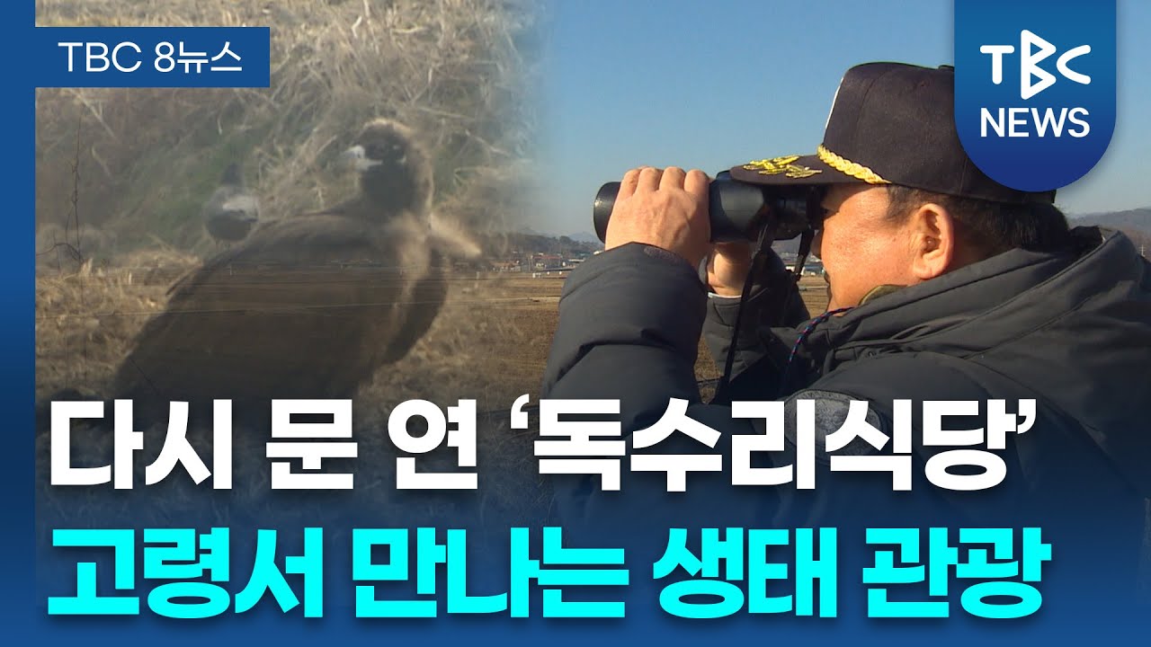 ‘겨울 진객’ 독수리 올해도 고령에… “관광 자원화해야”ㅣTBC뉴스