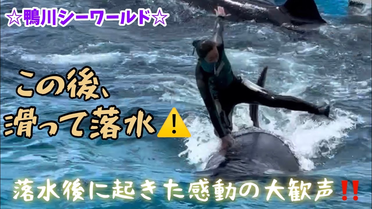 ベテラントレーナーさんが落下😰トレーナーさんがとった一瞬の最善策とは・・・。 &  豪華パフォーマンス