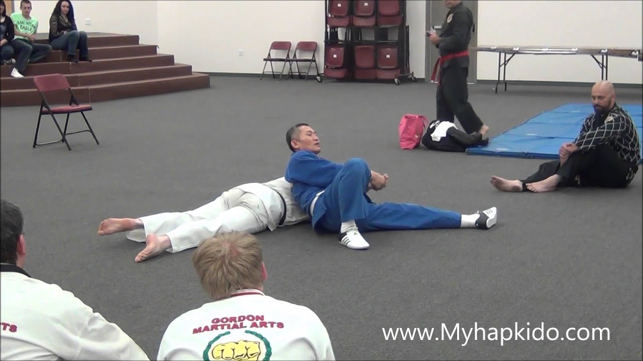 Hapkido Joint locks