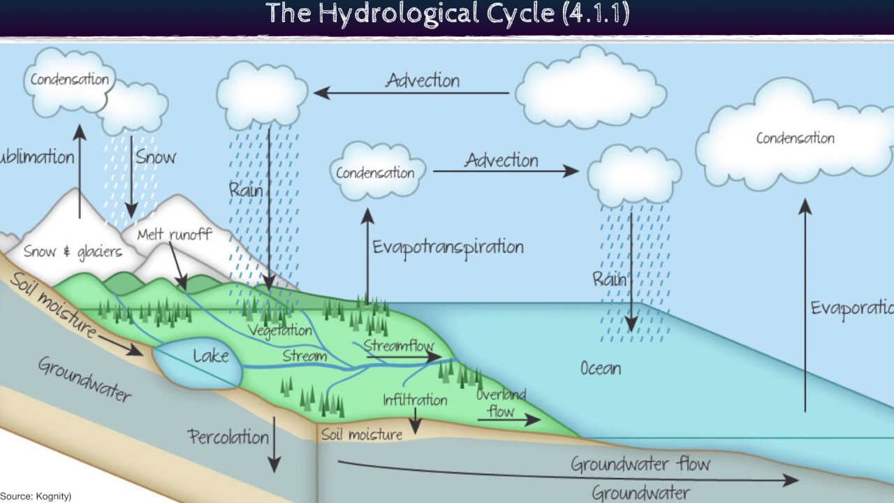 Systems and the Water Cycle (ESS 4.1.1)