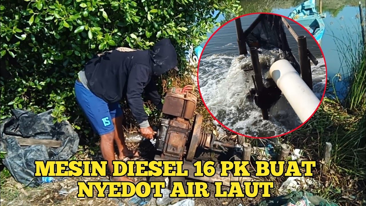 WOW ! DAPAT BANYAK AIR POMPA AIR LAUT DENG MESIN DIESEL 16 PK