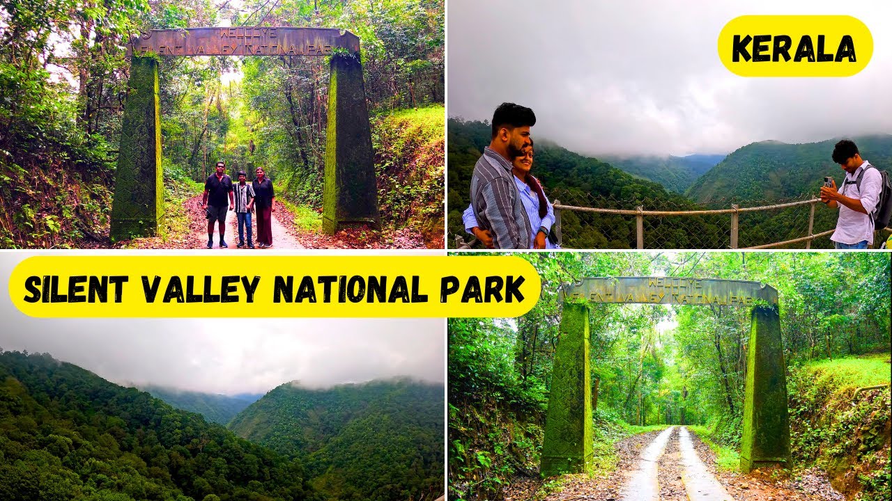 Silent Valley National Park | Kerala | Attappadi | Kerala Tourist Places | Rainforest | Tamil Vlogs