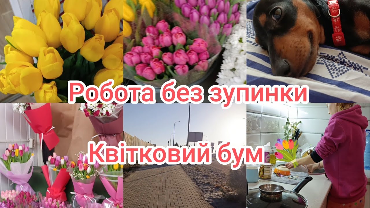 Наші будні 🌸 Робота на АЗК ⛽ Собака 🐶 і шалений квітковий бум на 8 Березня 💐🌷
