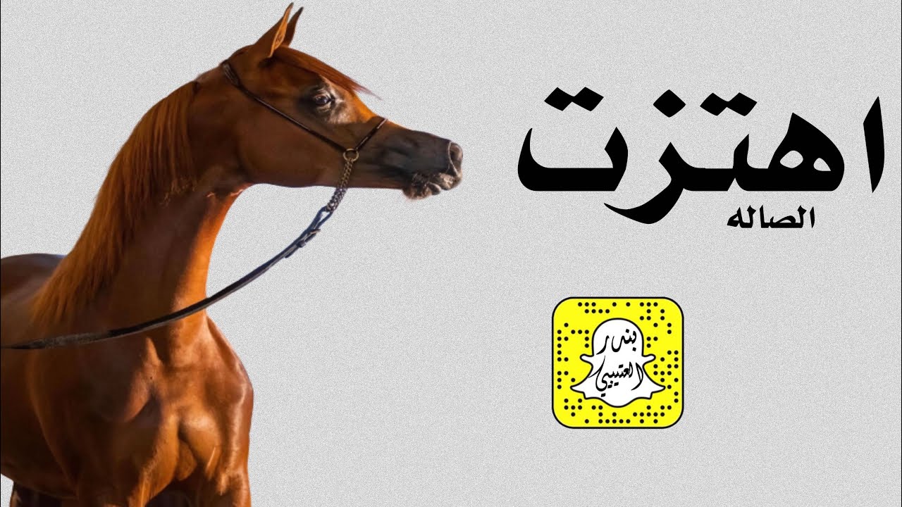 اهتزت الصاله اداء سعد محسن 2023 حصرياً