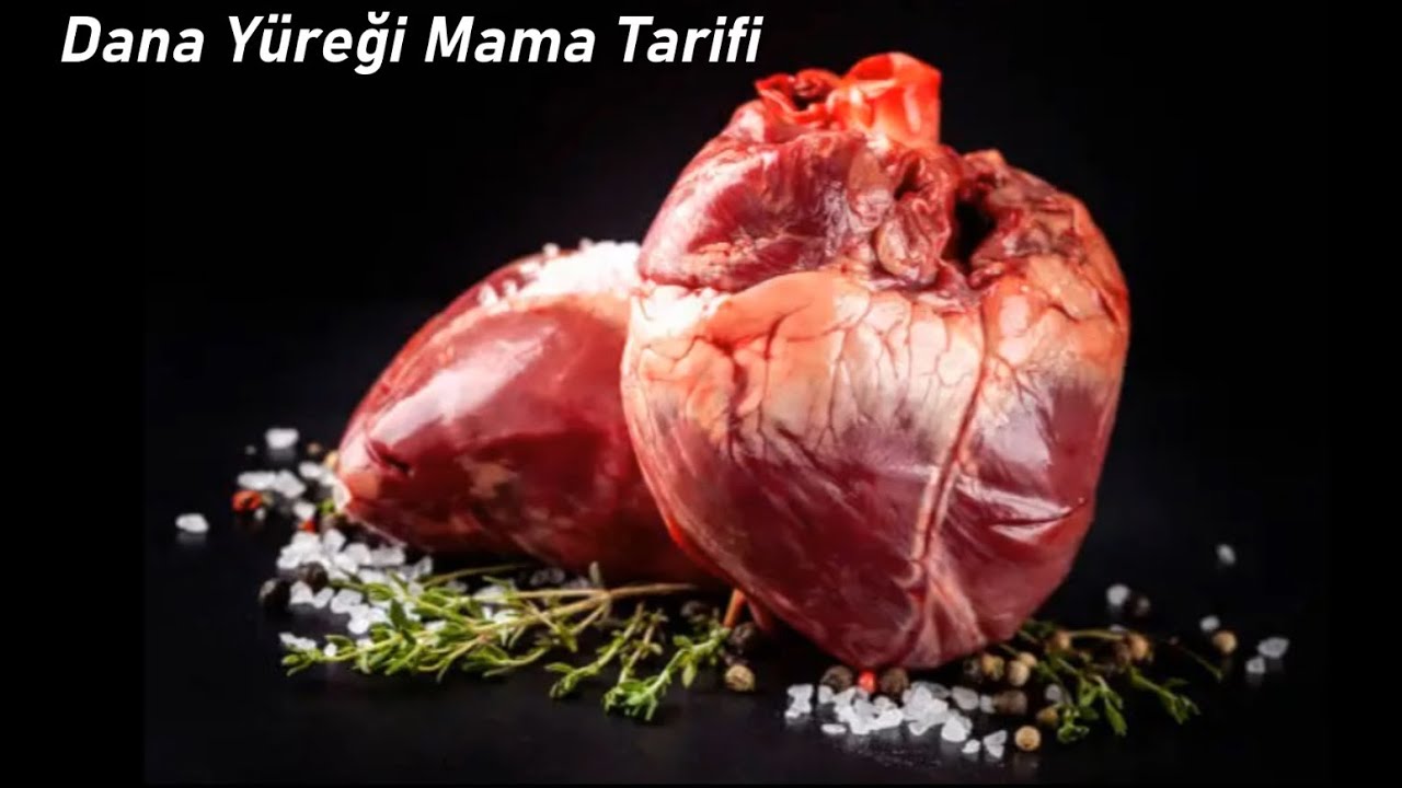 Discus için Dana Yüreği Mama Tarifi