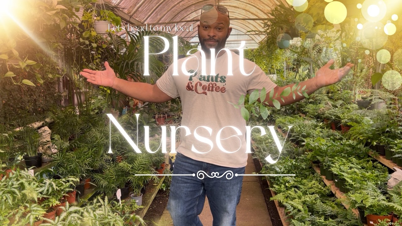 Lets head to my local plant nursery