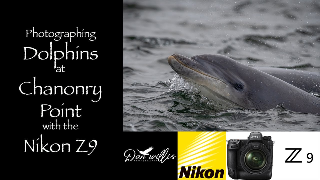 Photographing Dolphins at Chanonry Point with the Nikon Z9