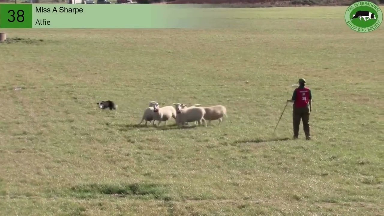 Alison Sharpe and Alfie- Welsh National 2022