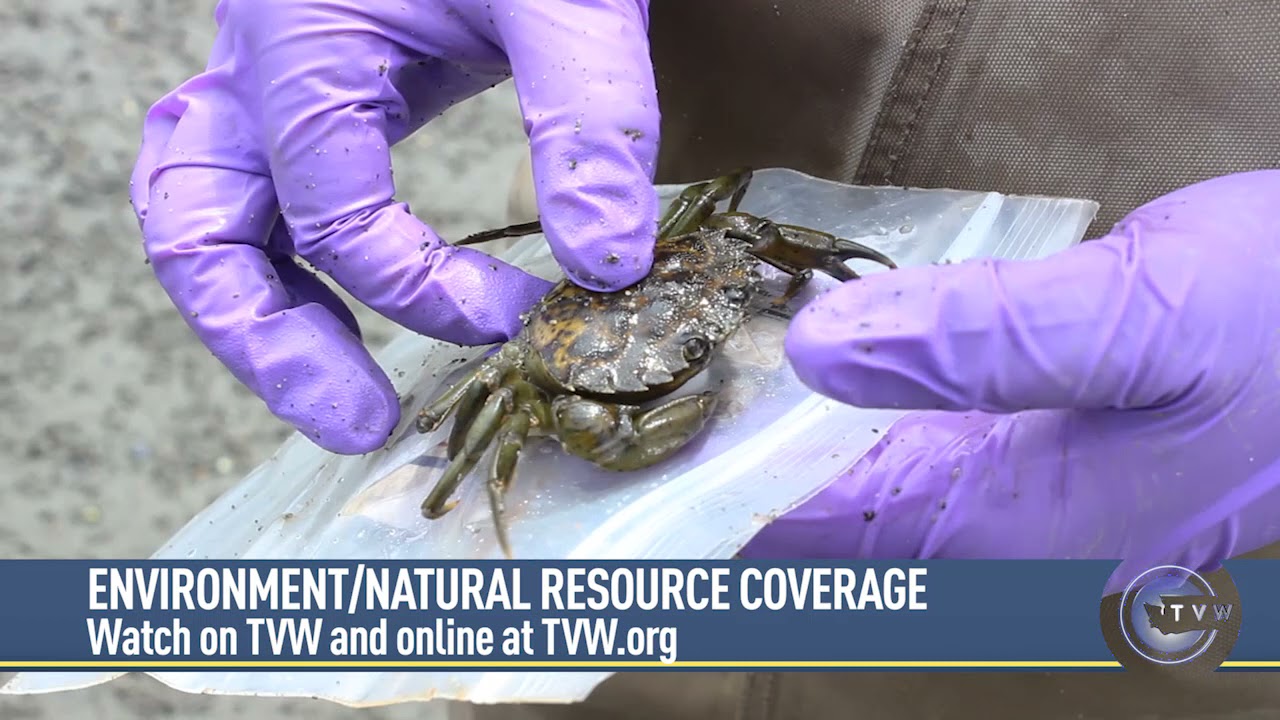TVW - Natural Resources and Environment