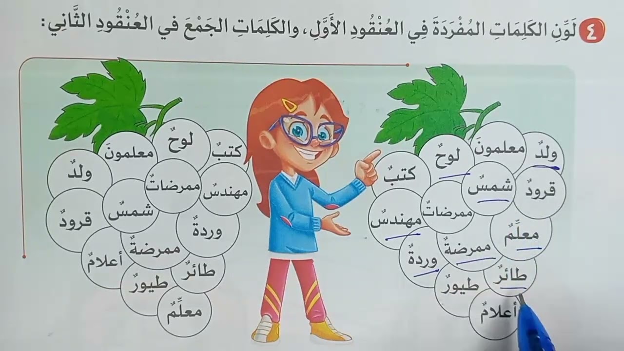 صف أول ابتدائي ( المفرد والجمع ) شرح مبسط جدا وحل تدريبات - أنواع التنوين🔥 لغة عربية (الأضواء 2025)