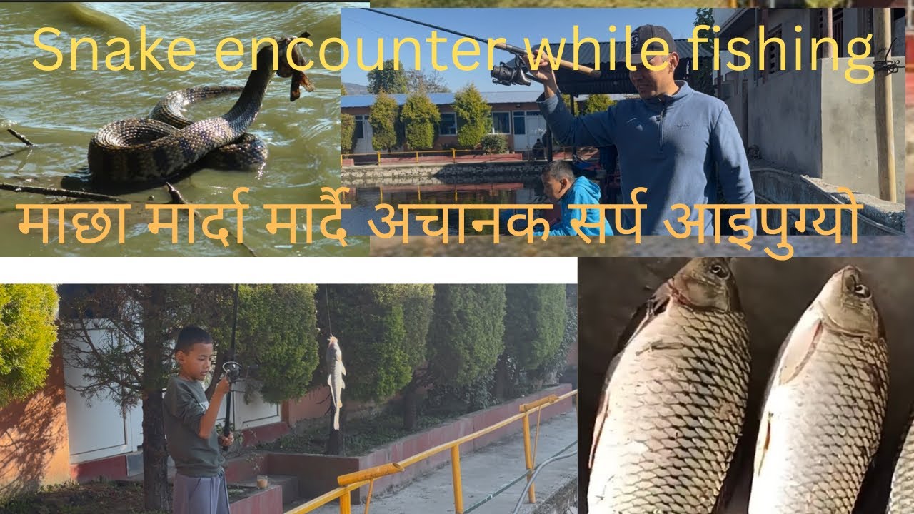 we  are  fishing  in  the  pond 