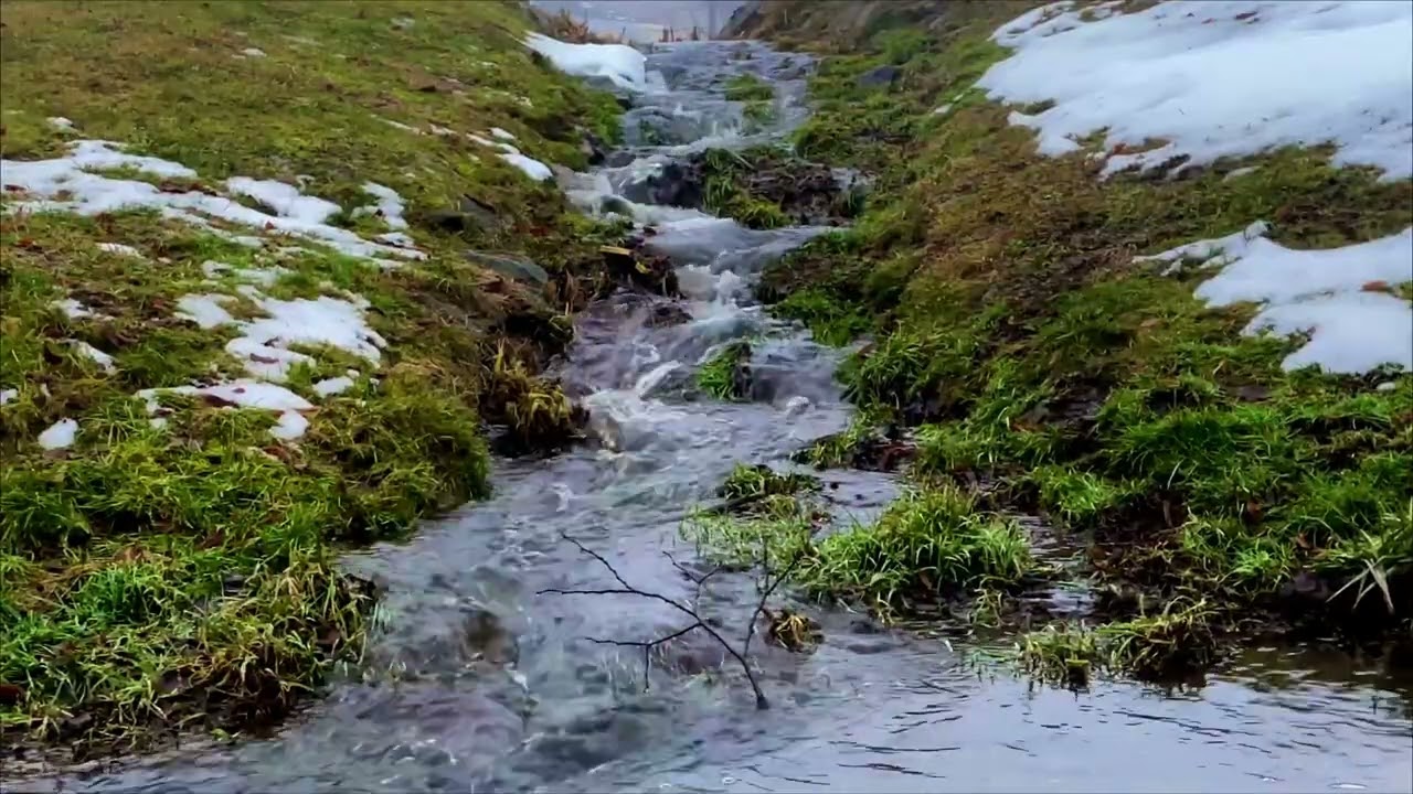 Relaxing Stream Water Flow & Natural Sounds
