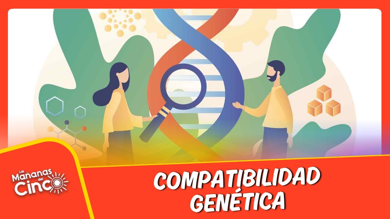 🧬 Compatibilidad genética: la conversación que toda pareja debería tener antes de buscar un bebé