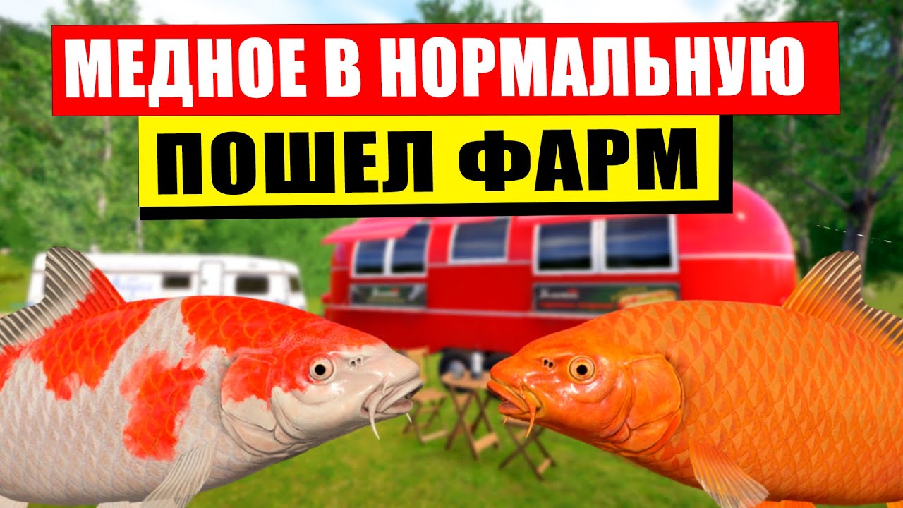 ПОШЕЛ БОМБОВЫЙ ФАРМ НА МЕДНОМ В НОРМАЛЬНУЮ ТЕМПЕРАТУРУ! • Русская Рыбалка 4 РР4