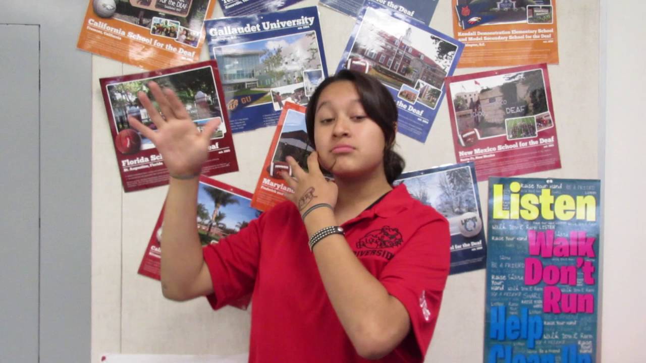 The R Files (Visco, MS Teacher)