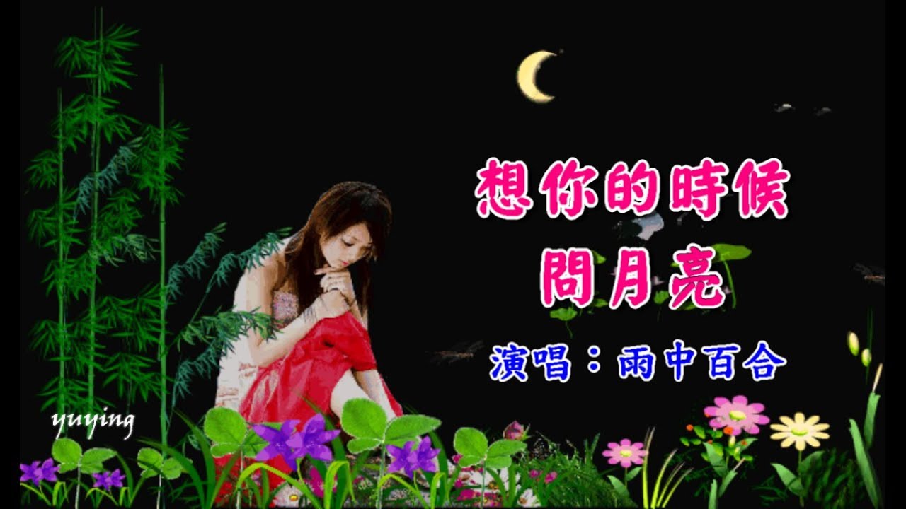 《想你的時候問月亮》 演唱：雨中百合 （好聽）