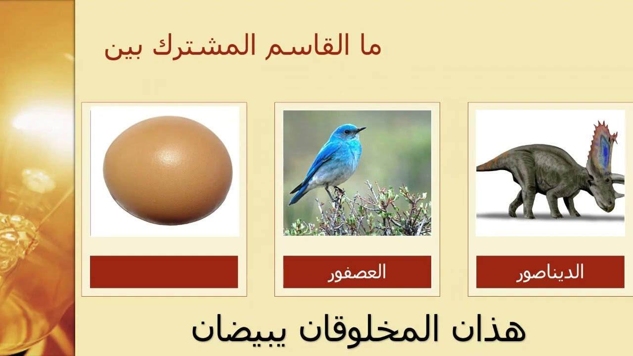 نموذج سير خطة درس وفق نظرية غانييه وتسلسل هرم بلوم (مادة لغتي)